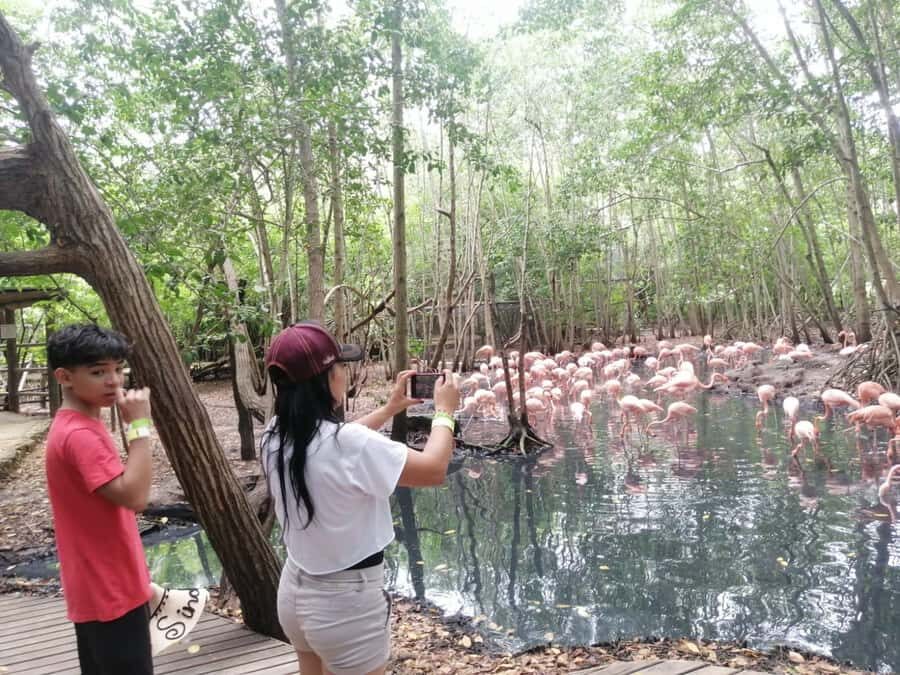 Cartagena: Aviary National Park Tour with Hotel Pickup - Hotel Pickup That Actually Makes the Day Easy