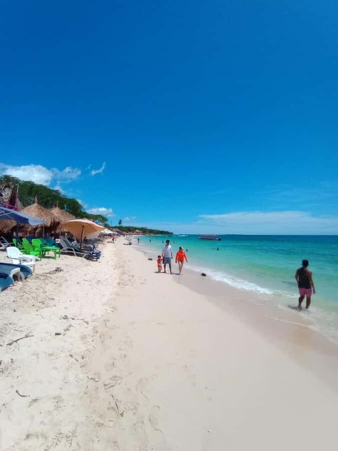 Cartagena: Baru Beach Day Trip with Bioluminescent Plankton - Tips to avoid the most common day-killers