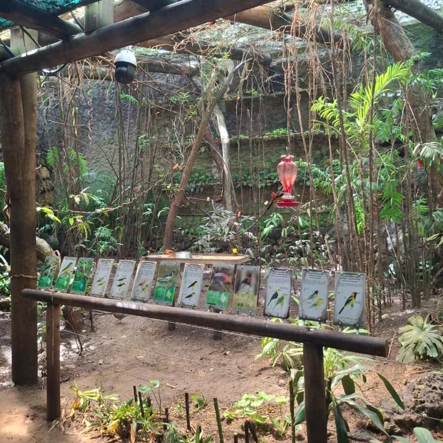Cartagena: Baru Excursion + Aviary (ticket not included) + lunch - Logistics reality check: timing, guide visibility, and return flow