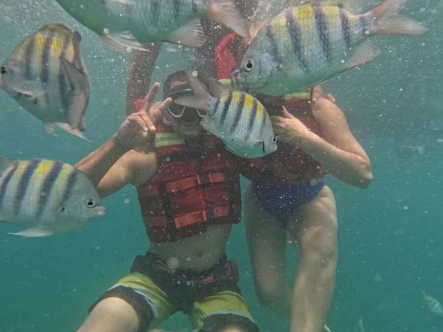 Cartagena: BARÚ Playa blanca with SNORKELING INCLUDED - Key things to know before you go
