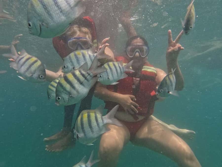 Cartagena: BARÚ Playa blanca with SNORKELING INCLUDED - The big plan: how the 7 hours work