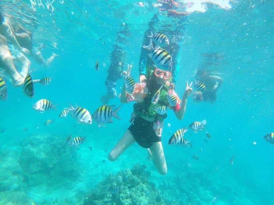 Cartagena: BARÚ Playa blanca with SNORKELING INCLUDED - Barú island stops: photos, a guide, and free time