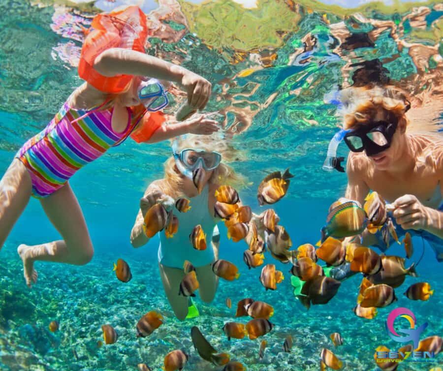 Cartagena: BARÚ Playa blanca with SNORKELING INCLUDED - Hotel pickup and timing in Cartagena