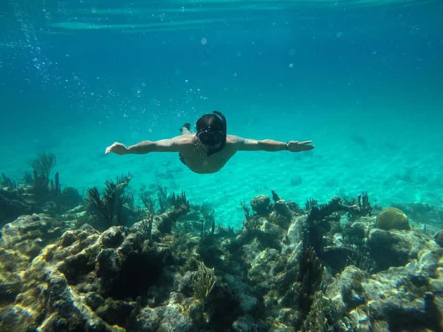 Cartagena: Basic Diving for beginners in Rosario Islands - Your beginner scuba session: theory, gear prep, and guided reef time