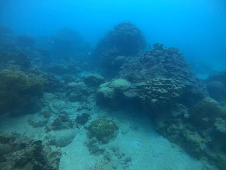 Cartagena: Basic Diving for beginners in Rosario Islands - Before you go: what to pack and what not to bring