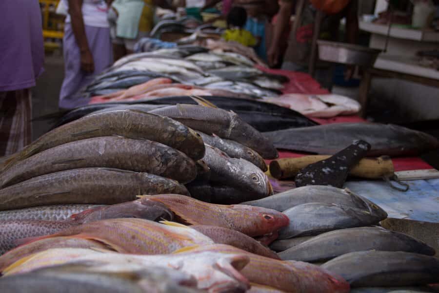 Cartagena Bazurto Market: Authentic Food & Culture Tour - Afro-Caribbean heritage through crafts, conversations, and street art