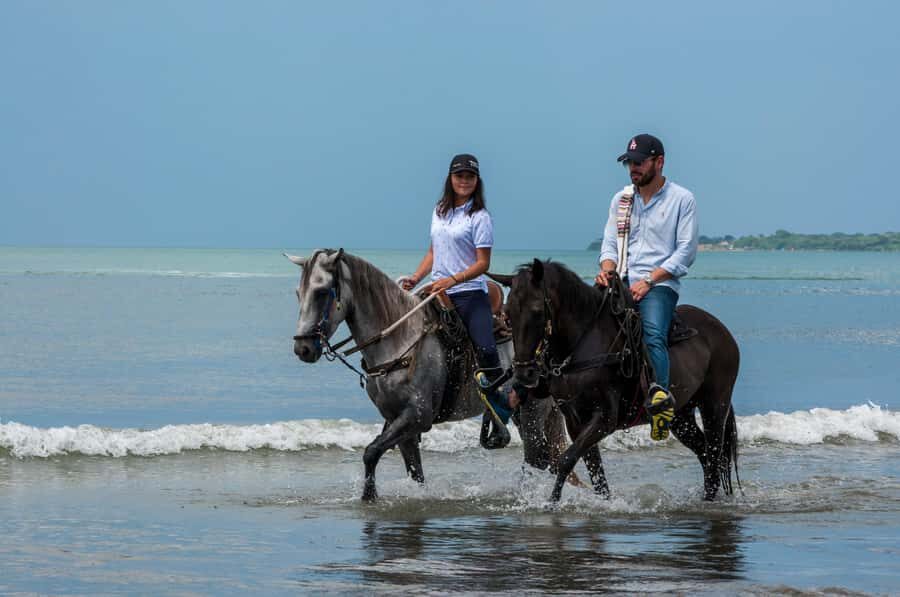 Cartagena: Beach Horse Ride and Colombian Equestrian Culture - From Cartagena pickup to the ranch: a calm start, not a chaotic one
