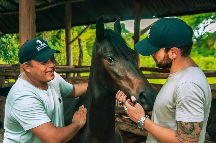 Cartagena: Beach Horse Ride and Colombian Equestrian Culture - The Paso Fino demonstration: watching skill, not just motion