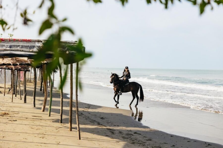 Cartagena: Beach Horse Ride and Colombian Equestrian Culture - Your beach ride on Cartagena’s sand: waves, wind, and a matched horse