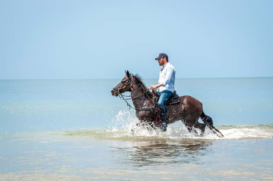 Cartagena: Beach Horse Ride and Colombian Equestrian Culture - Photos on the ride: why it’s better when someone else captures it
