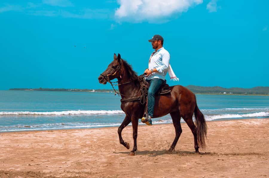 Cartagena: Beach Horse Ride and Colombian Equestrian Culture - Riding equipment and comfort: what you’re given