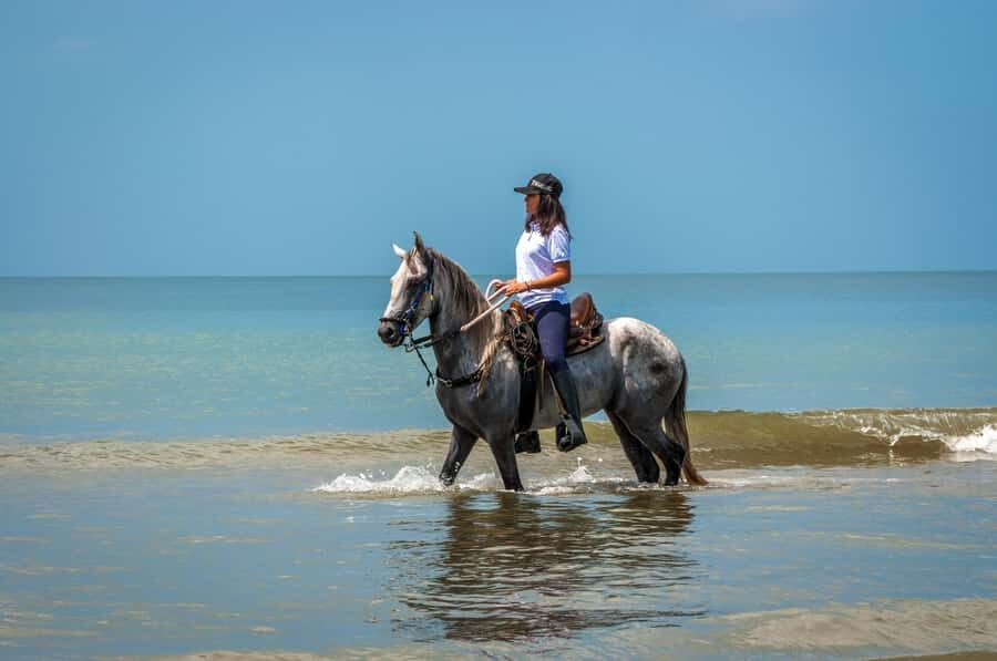 Cartagena: Beach Horse Ride and Colombian Equestrian Culture - Small group of up to 6: why this improves your ride