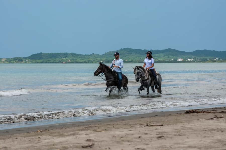 Cartagena: Beach Horse Ride and Colombian Equestrian Culture - Learning the Paso Fino culture before you ride
