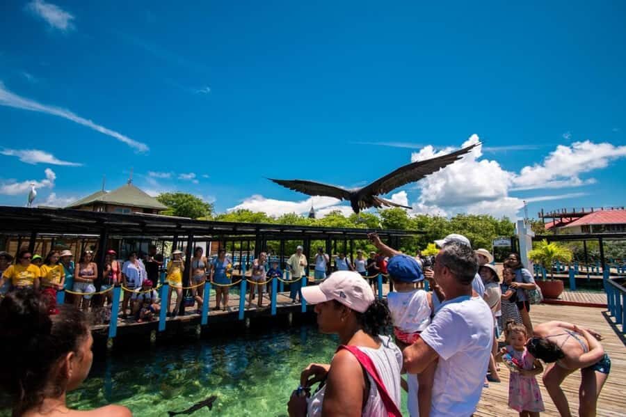 Cartagena: Cholon Island, Playa Blanca and Luminous Plankton - How the day moves: pickups, the dock, and why timing matters