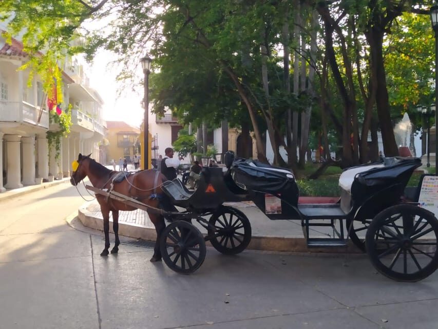 Cartagena: COLLONIAL HORSE DRAWN CARRIAGE by THE OLD CITY - Who should book this carriage ride (and who might skip it)