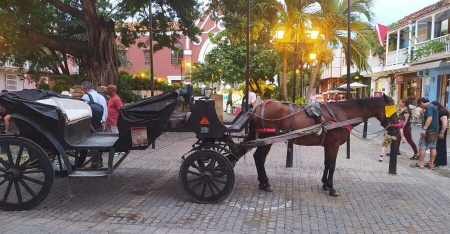 Cartagena: COLLONIAL HORSE DRAWN CARRIAGE by THE OLD CITY - Carriage size and timing: what you can actually control