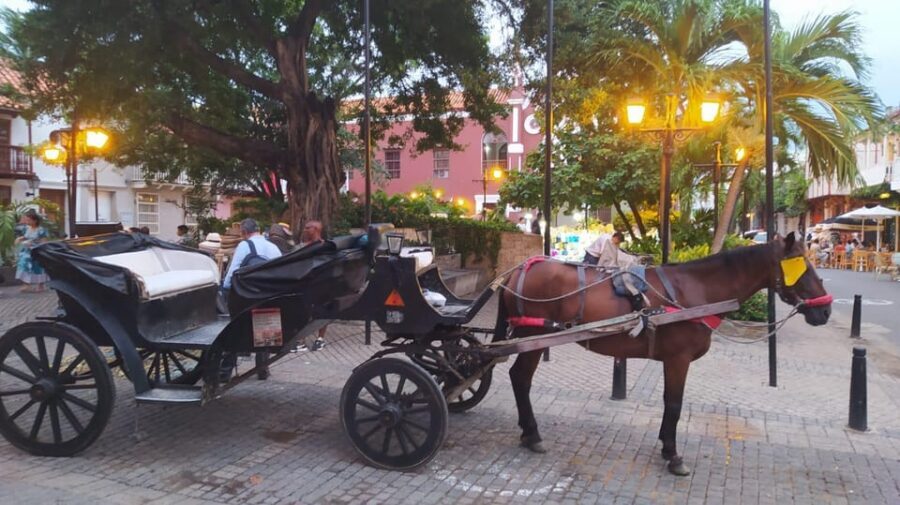 Cartagena: COLLONIAL HORSE DRAWN CARRIAGE by THE OLD CITY - Price and value: $29 per group up to 4