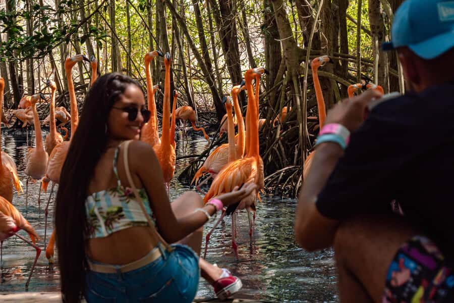 Cartagena: Day Trip Aviary and enjoy Playa Blanca by bus - A One-Day Mix of Aviary Wonder and Playa Blanca Beach Time