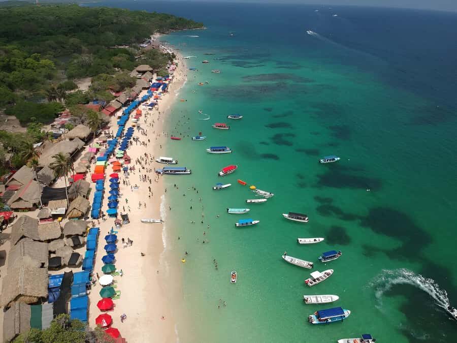 Cartagena: Daytour Aviary and Playa blanca, Barú by bus! - National Aviary of Colombia: how to make your 2.5 hours count