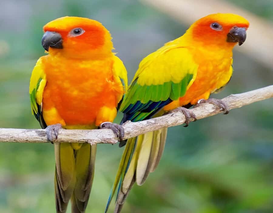 Cartagena: Daytour Aviary and Playa blanca, Barú by bus! - Heat, shoes, and comfort: the day won’t be hard, but it is hot