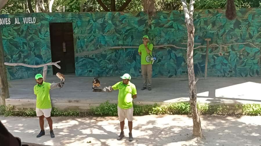 Cartagena: Daytour Aviary and Playa blanca, Barú by bus! - Cartagena bus pickup: get matched to your zone and you’ll be fine