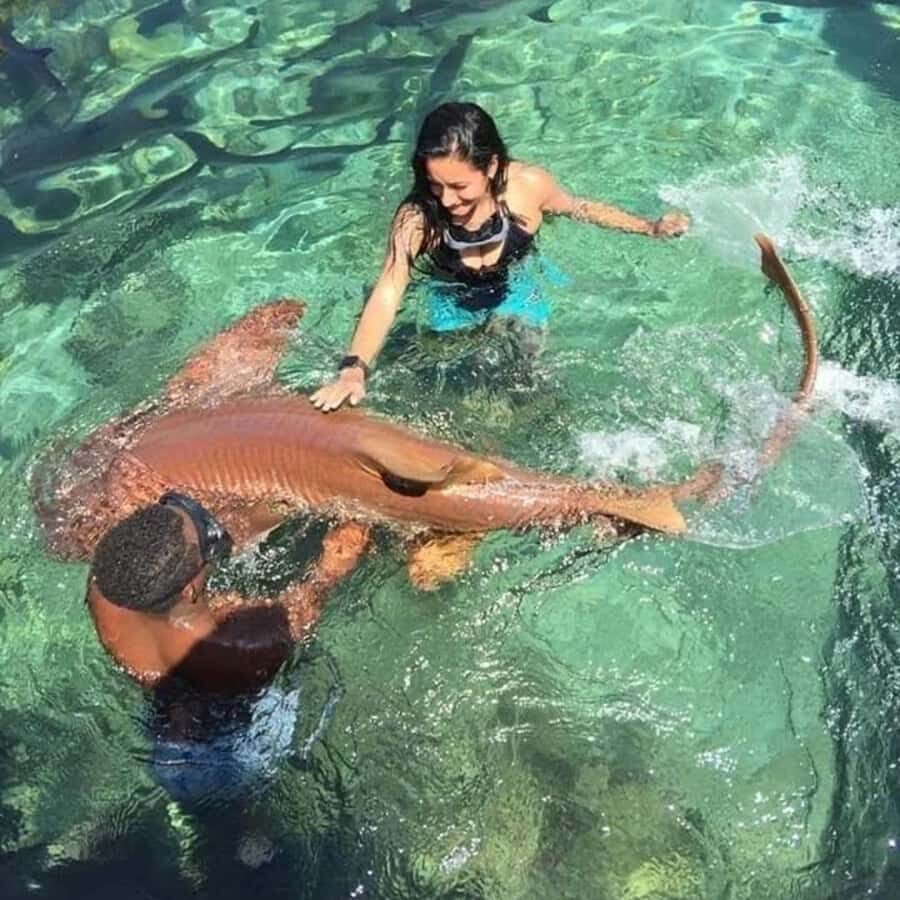 Cartagena: DayTour Mucura, tintipan and Islote by speadboat - Key things that make this day trip worth your time
