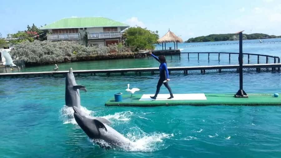 Cartagena de Indias: Pasadia 5 Islas del rosario and Baru boat trip - The speedboat to Rosario Islands: fast, fun, and a little loud