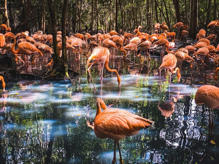 Cartagena: Ecoplan on Barú, Aviary and Oceanarium in one day - Rosario Islands Stop: The Change of Scenery You Get for Free