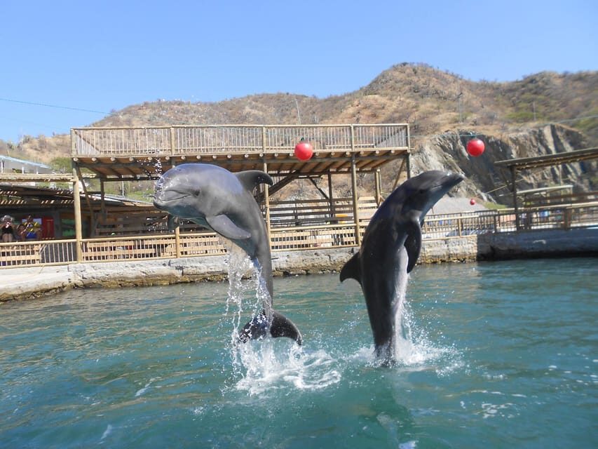 Cartagena: Ecoplan on Barú, Aviary and Oceanarium in one day - Lunch in Barú: Typical Food, Real Break in the Schedule
