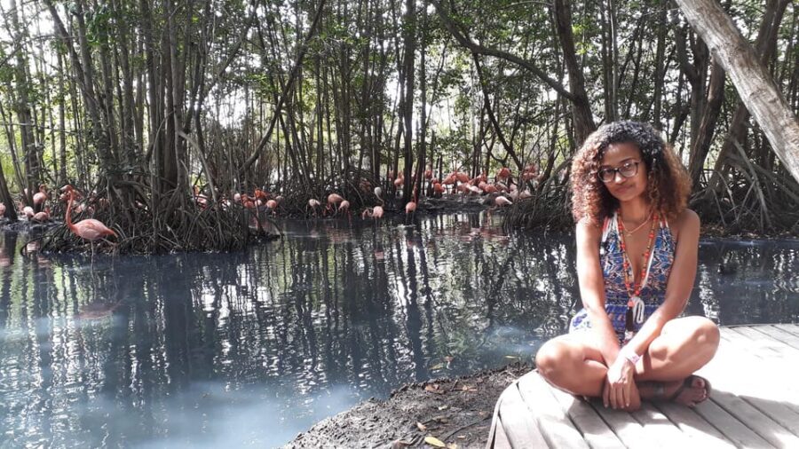 Cartagena: Ecoplan on Barú, Aviary and Oceanarium in one day - Transport Reality Check: Old Bus Woes and How to Reduce the Pain