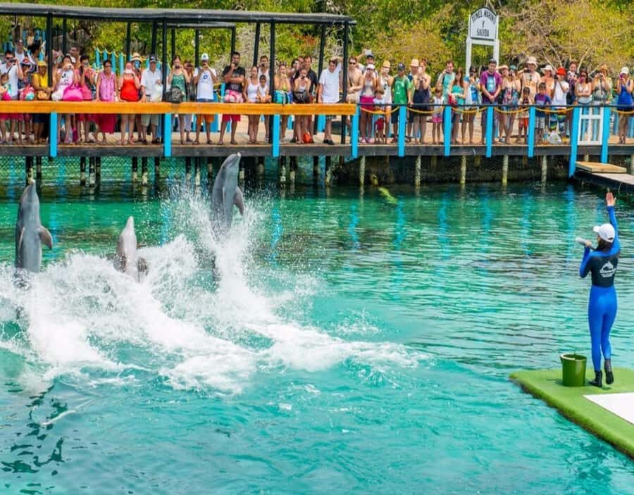 CARTAGENA: EXCURSION to the Rosario Islands by boat and white beach by bus. - From El Laguito to Barú: getting into island mode