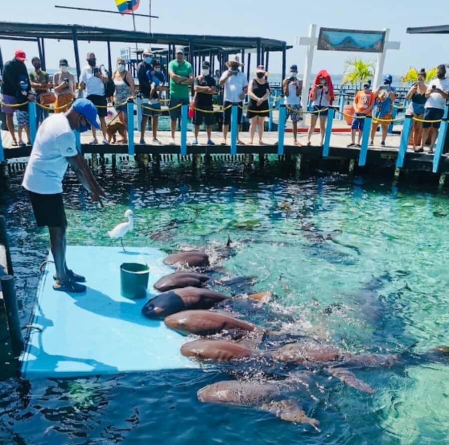CARTAGENA: EXCURSION to the Rosario Islands by boat and white beach by bus. - Rosario Islands National Natural Park: swimming from the sea, not the shore
