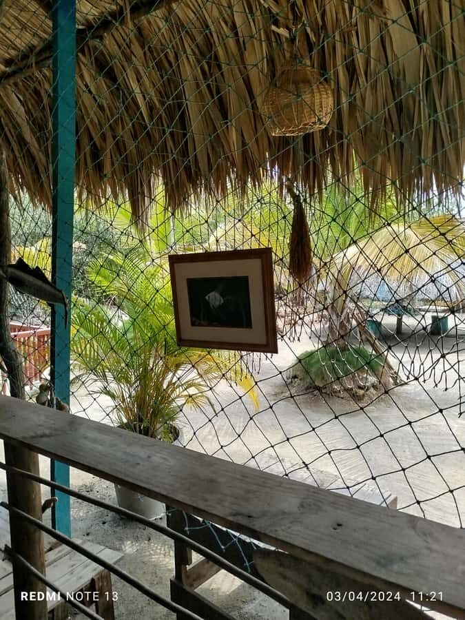 Cartagena: FISHERMEN'S ISLAND IN THE MANGROVES by canoe - Meeting your native bilingual guide: why that storytelling matters