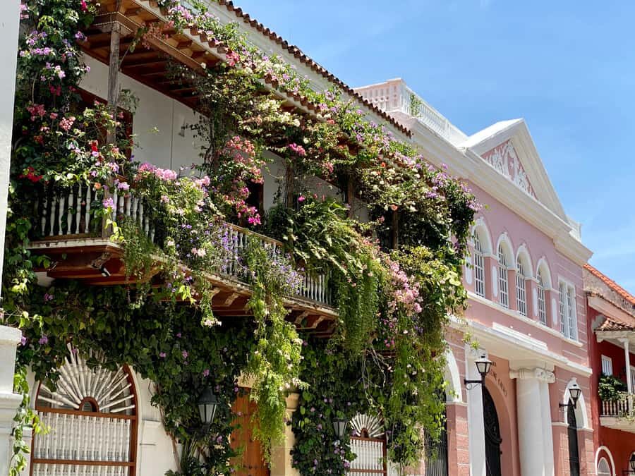 Cartagena: History, Culture & Coffee Experience - What to bring and wear for a comfortable 4 hours