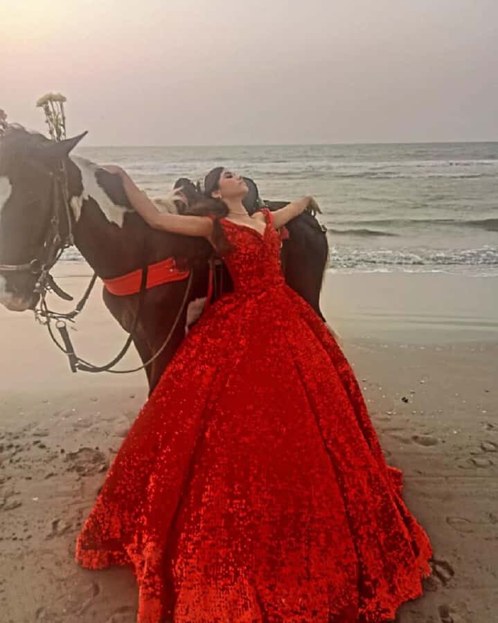 Cartagena: Horse riding on the beaches of Cartagena & PHOTOS - Where You Meet: Sonesta Hotel Cartagena or Portovento Building