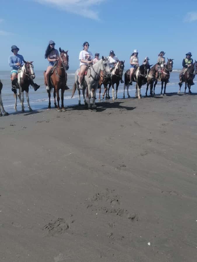 Cartagena: Horse riding on the beaches of Cartagena & PHOTOS - Walking to the shore: the quick briefing that sets the mood