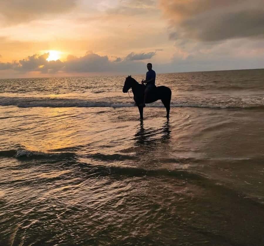 Cartagena: Horseback Ridding Excursion on the Beach - Why this beach horseback ride feels different from city tours