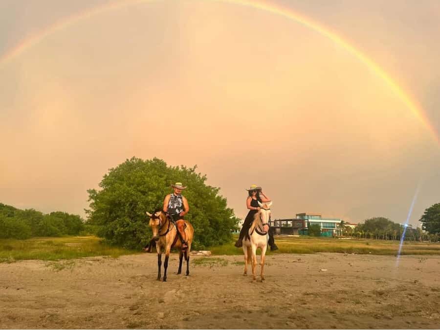 Cartagena: Horseback Ridding Excursion on the Beach - Meeting your guide and choosing the right horse for your comfort