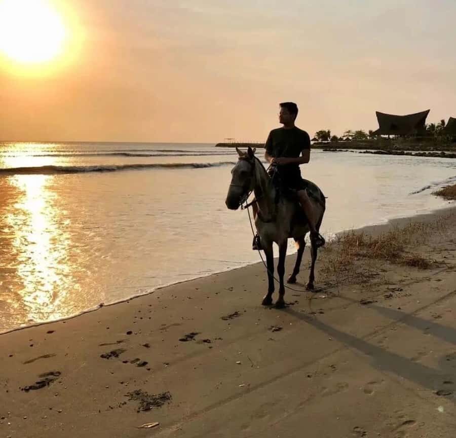 Cartagena: Horseback Ridding Excursion on the Beach - Getting from Cartagena to the Manzanillo shoreline (and why timing matters)