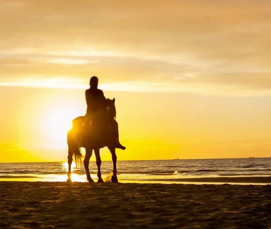 Cartagena: Horseback Riding on the Beach at Sunset - Price and value: what $50 buys you in real time