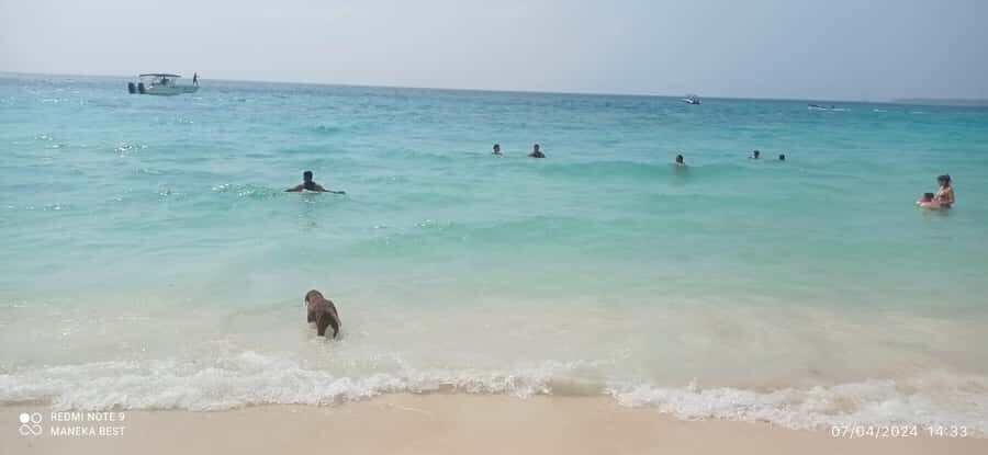 Cartagena: LUMINOUS PLANKTON, Playa Blanca Barù and Lunch - Boarding the Fast Boats to Cienaga de Portonaito for Bioluminescence