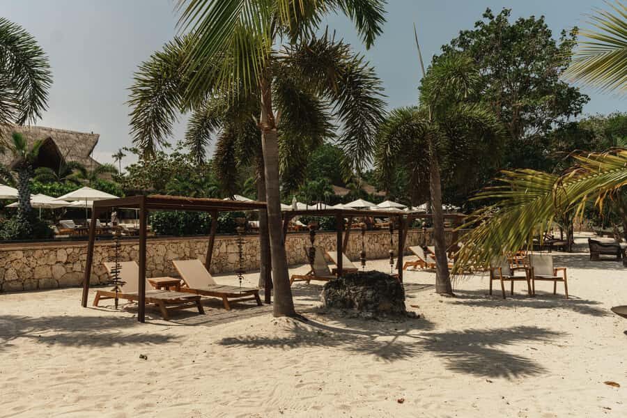 Cartagena: Makani Luxury Beach Club Day Pass - Food, Drinks, And The Mood: Where The Reviews Hit