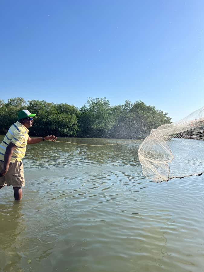 Cartagena: Mangrove Eco Tour & Fishing with Transportation - Key points before you go