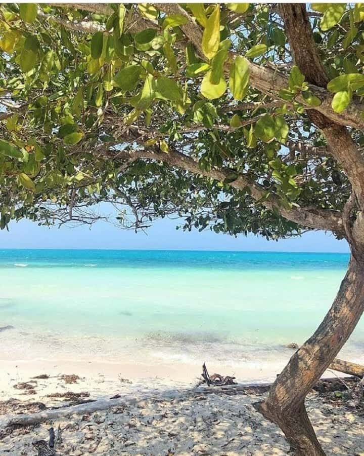 cartagena: Mucura and Santa Cruz Islands Tour spectacular - Isla Múcura: public beach time, swimming, and what you pay attention to