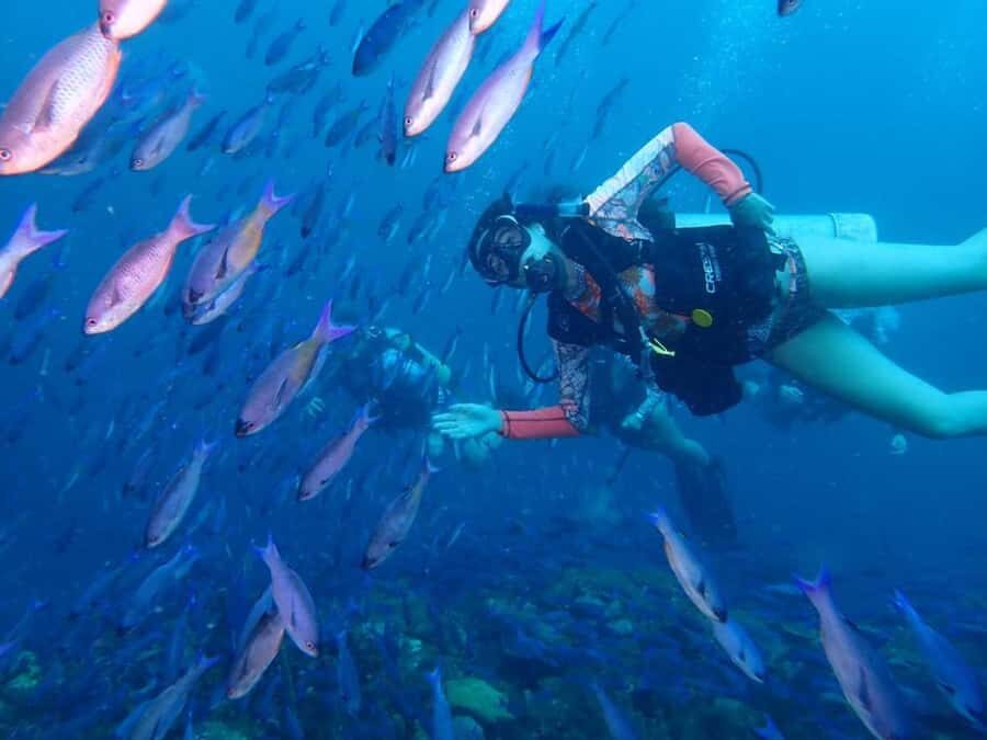 Cartagena: PADI DISCOVER SCUBA / MINICURSO DE BUCEO - Key highlights worth planning around