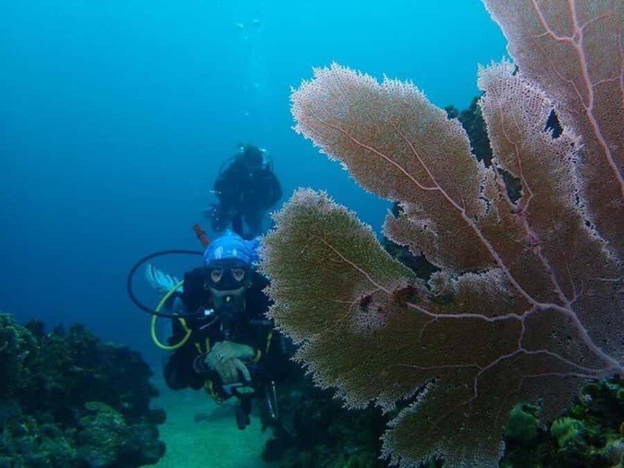 Cartagena: PADI DISCOVER SCUBA / MINICURSO DE BUCEO - The Speedboat Ride: Getting to Barú Fast