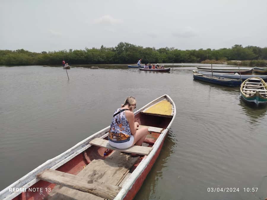 Cartagena: Private Sail in the mangrove GUIDE in ENGLISH - What You’ll Spot: Crabs, Fish, Birds, and Mangrove Flora