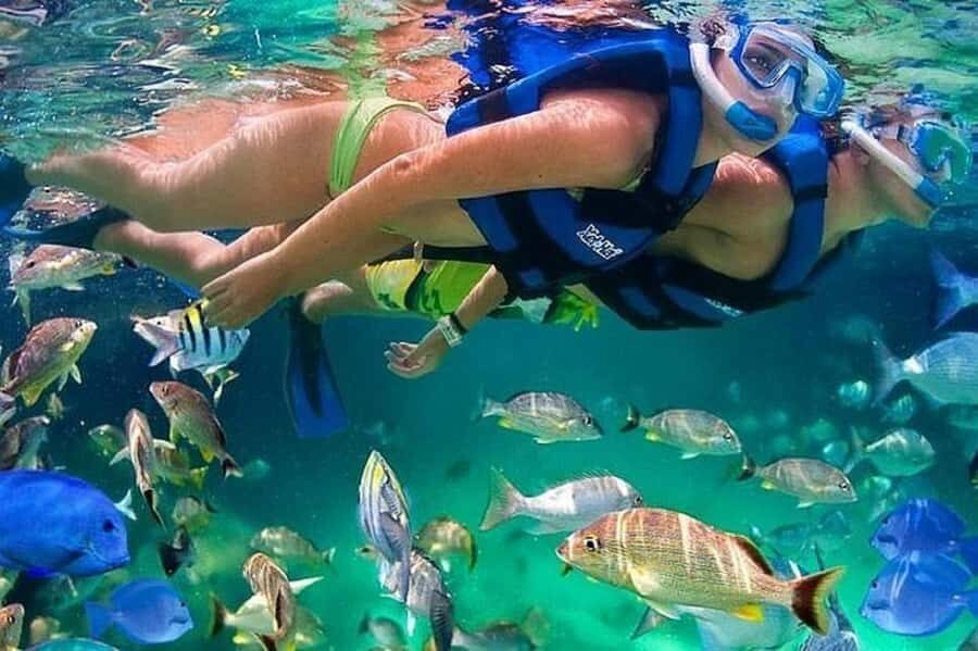 Cartagena: Raccoon Island Snorkel, Mangrove, Photos & Lunch - Key things you’ll want to know before you go