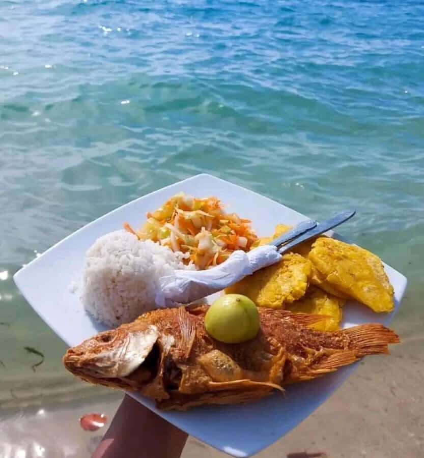 Cartagena: Raccoon Island Snorkel, Mangrove, Photos & Lunch - Practical Tips That Make a Big Difference