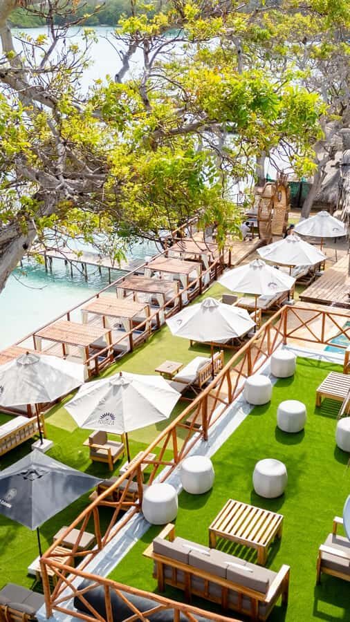 Cartagena: Rosario Islands Daypass Ibbiza Island Beach Club - Lunch That Actually Fills You Up (With Options and Pairings)